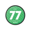 77 GHOST mini Watermelon Ice 20mg nicotine pouch can