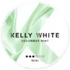 Kelly White Cucumber Mint 5mg mini nicotine pouch can with light green graphics