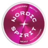 Nordic Spirit Raspberry Regular 6mg Nicotine Pouches Can