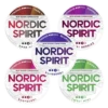 Nordic Spirit Strong Users Bundle Nicotine Pouches Assortment